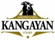 AGROPECUÁRIA KANGAYAN